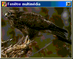 Cliquer sur image comme activit